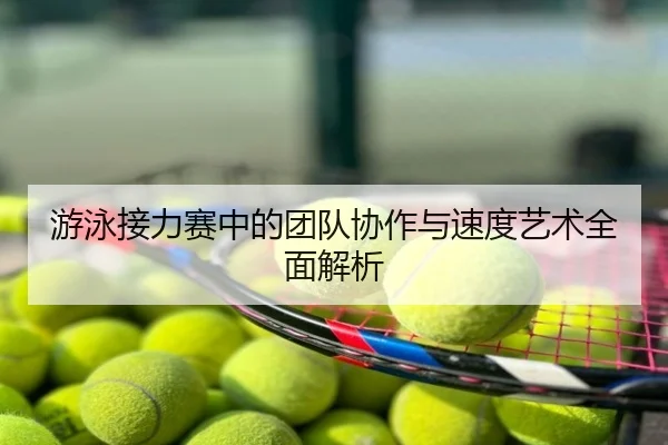 游泳接力赛中的团队协作与速度艺术全面解析