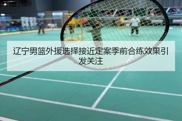 辽宁男篮外援选择接近定案季前合练效果引发关注